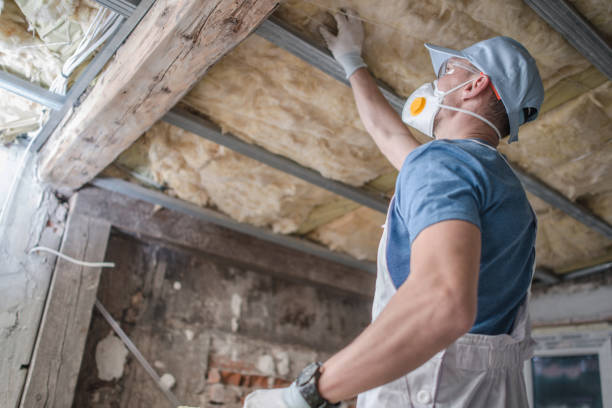 Best Residential Insulation in Land O Lakes, FL