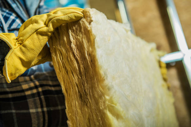 Best DIY Insulation Kits and Guidance in Land O Lakes, FL