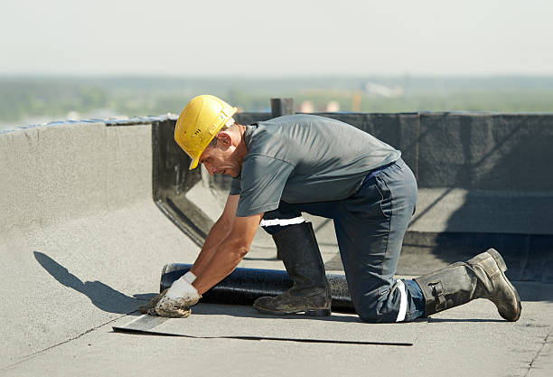 Best Spray Foam Insulation in Land O Lakes, FL
