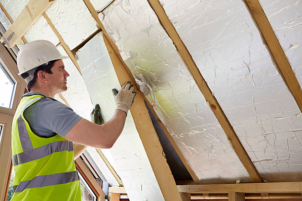 Best Eco-Friendly Insulation in Land O Lakes, FL